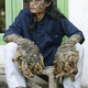 Illustration for article titled 10 Unusual Genetic Mutations in Humans